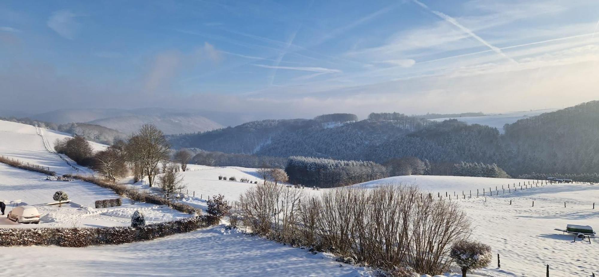 Fewo-Eifel-Morsbach Schleiden Extérieur photo