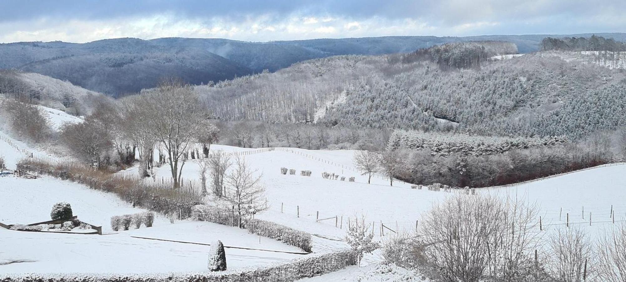 Fewo-Eifel-Morsbach Schleiden Extérieur photo